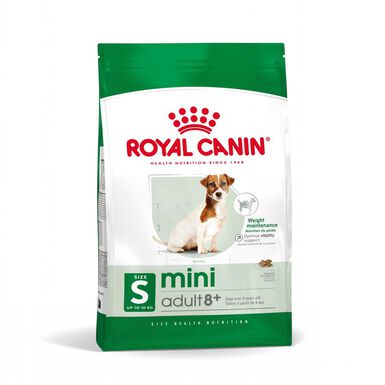 Royal Canin Mini 8+ Adult pienso para perros
